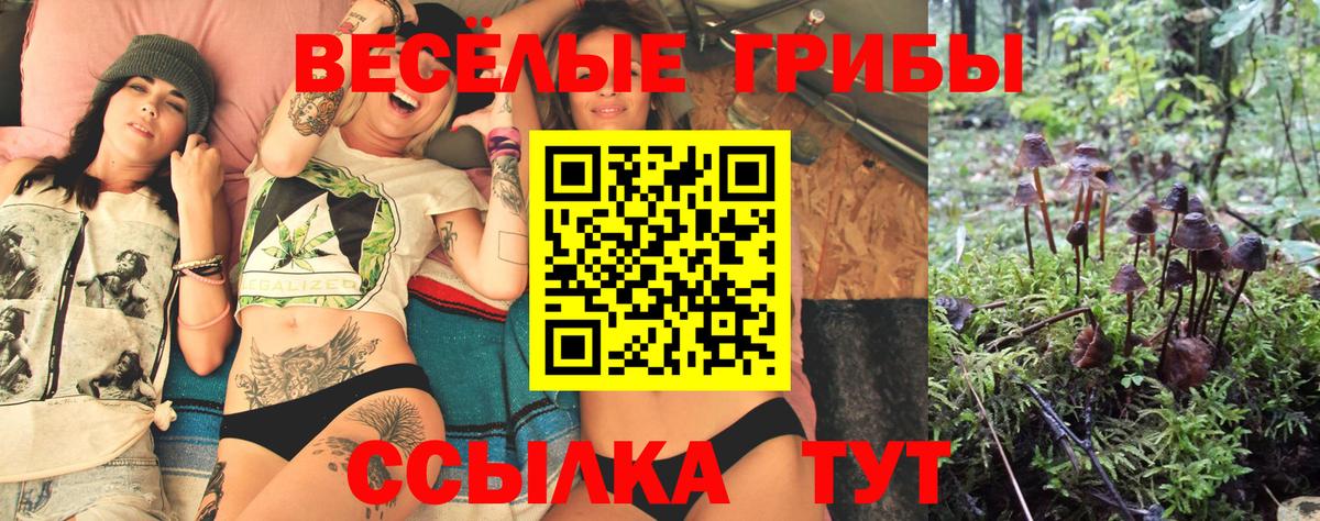 Псилоцибиновые грибы Psilocybine cubensis Воткинск