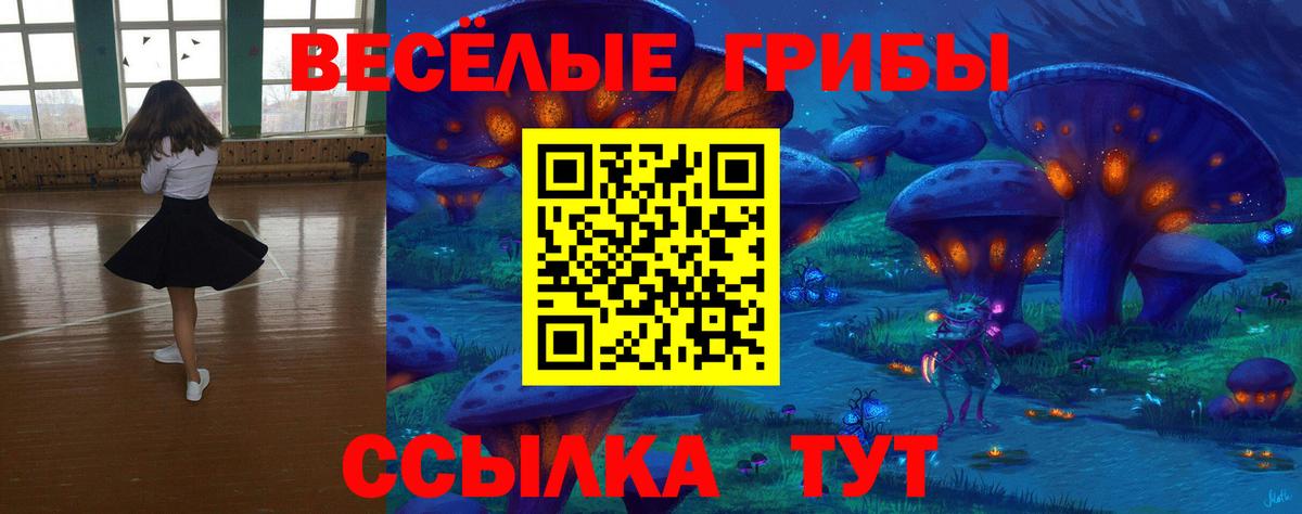 Воткинск  Псилоцибиновые грибы мицелий  Вход с VPN  Галлюциногенные грибы GOLDEN TEACHER 